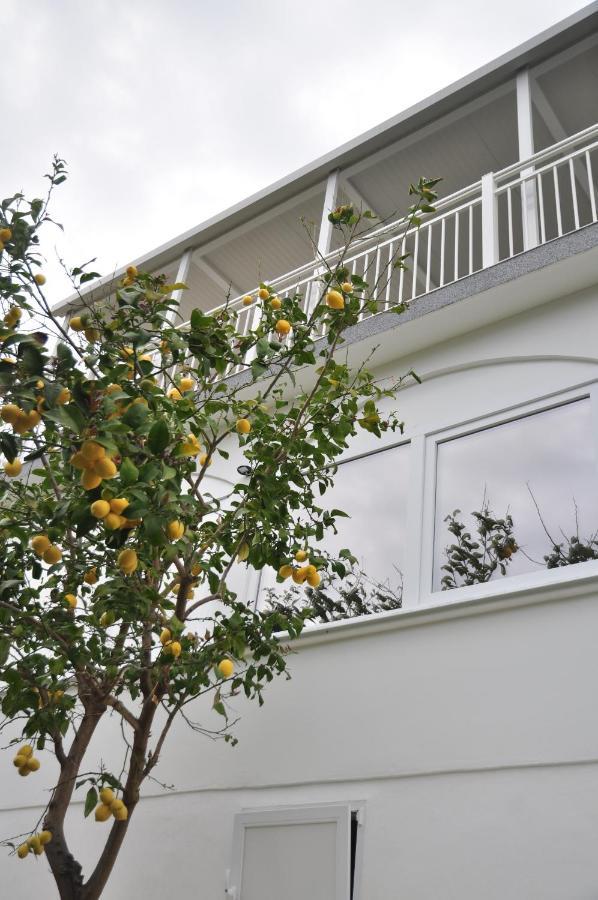 Rose Rooms At Island Of Rab Banjol Ngoại thất bức ảnh